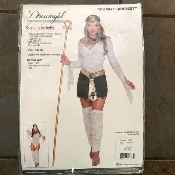 Dreamgirl Other - Halloween costume. Size Medium. Never worn.